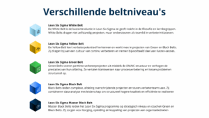 Infographic met de vijf Lean Six Sigma beltniveaus: White, Yellow, Green, Black en Master Black Belt, inclusief een korte uitleg per niveau.